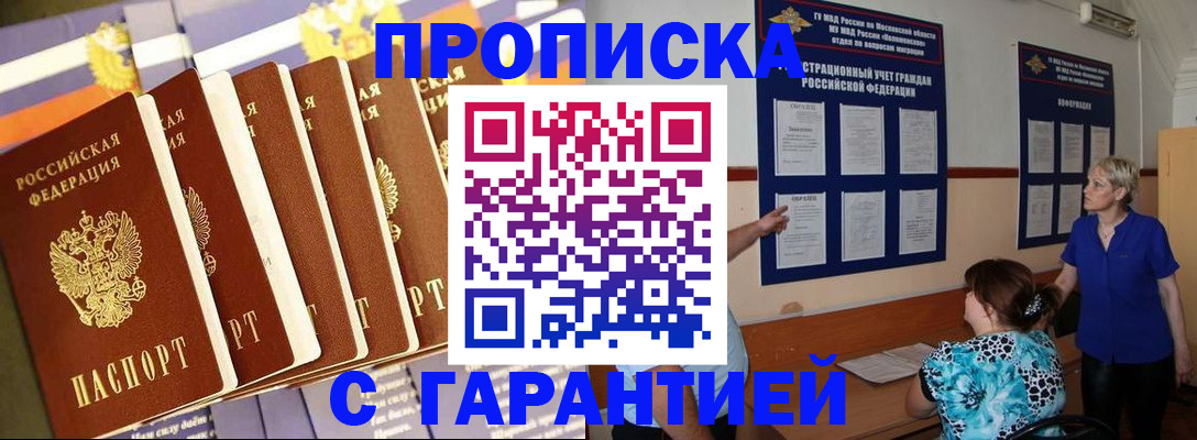 прописка 2025 в Звенигово